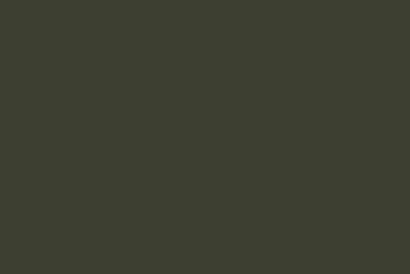 csm_Natural_pool_verde_oliva_dfe61da5b4