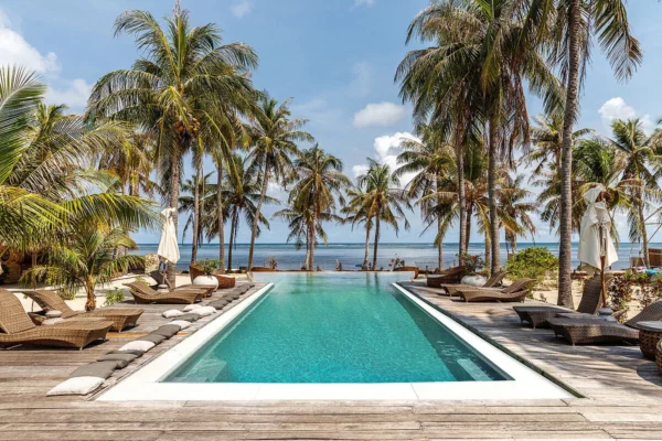 csm_RENOLIT_Tropical-RENOLIT_RENOLIT_tropical_ed8729990b
