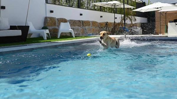 csm_SwimmingPool-RENOLIT-ALKORPLAN-Urban_5_01441843e5