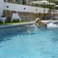 csm_SwimmingPool-RENOLIT-ALKORPLAN-Urban_5_01441843e5