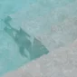 csm_SwimmingPool-RENOLIT-ALKORPLAN-Vintage_27_c3fd4bc93f
