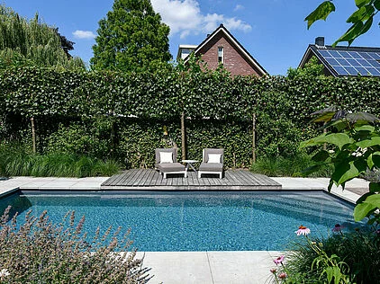 csm_Swimming_pool_RENOLIT_ALKORPLAN2000_Dark_Grey__2__32c8b624cf