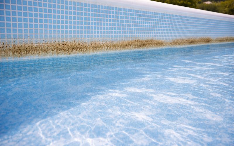 línea de flotación liner piscina suciedad