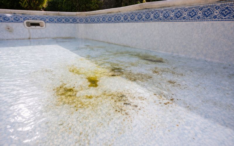 manchas incrustadas en liner de piscina sin limpiar