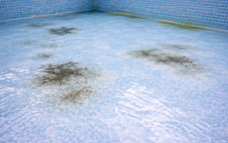 manchas liner piscina superficie