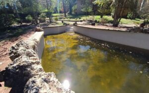 piscina antigua antes instalar liner